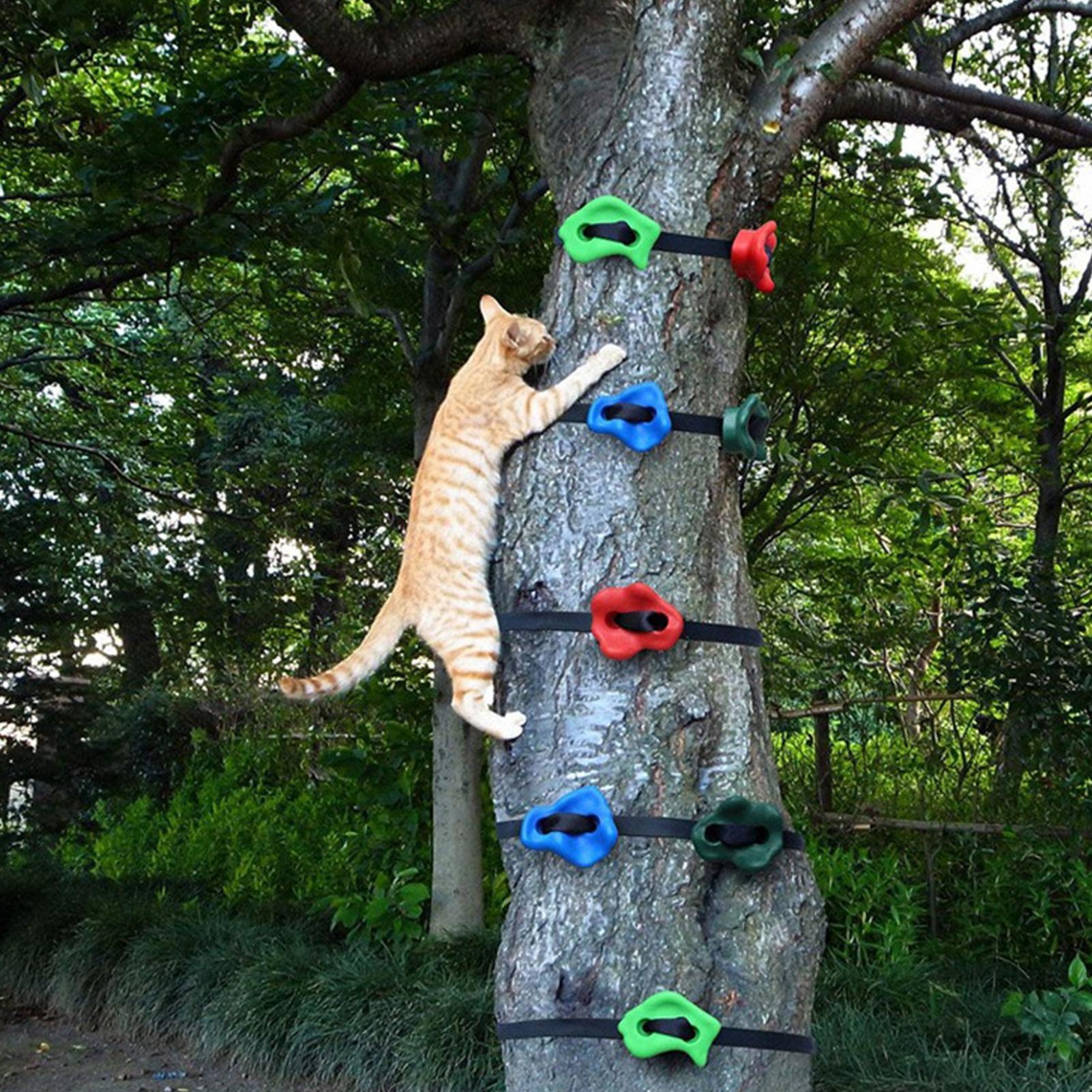 Outdoor Climbing Toys Adjustab - Heavy Equipment Course ulasan dan harga